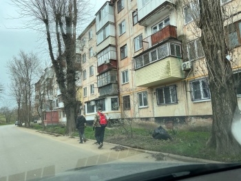 Новости » Общество: На Льва Толстого приступили к уборке обочин