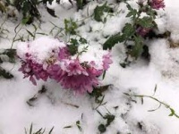 Новости » Общество: Дожди, мокрый снег и ветер – погода в Крыму на три дня