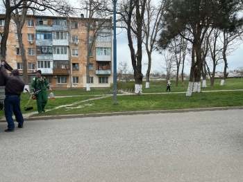 Новости » Общество: На обочинах в Аршинцево приступили к покосу травы