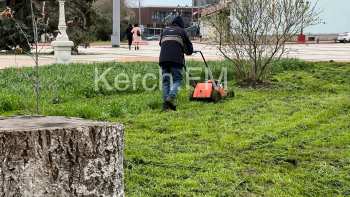 Новости » Общество: В центре Керчи начали косить траву