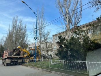 Вдоль дорог по Орджоникидзе пилят аварийные деревья
