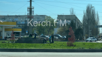Новости » Общество: На кольце около автовокзала Керчи высадили цветы