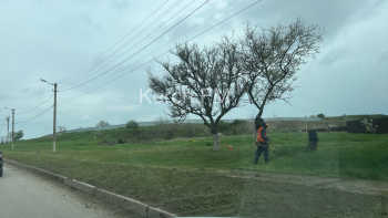 Новости » Общество: Покос травы дошел до Куль-Обинского шоссе