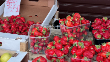 Новости » Общество: Обзор цен на овощи и фрукты на рынке около СРЗ на 1 мая