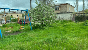 Керчане просят покосить траву на Жени Дудник около детской площадки