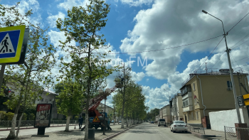 Новости » Общество: На Пирогова с деревьев сняли старые гирлянды