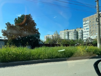 Новости » Общество: Ждем, когда высохнет? Траву по пояс на Ульяновых в Керчи упорно не замечают