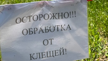Новости » Общество: Была или будет? В Комсомольском парке висят объявления об обработке от клещей