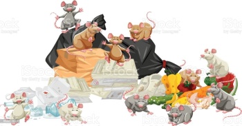 Новости » Общество: Крысы вместо управляющей компании наводят в керченской многоэтажке свои порядки