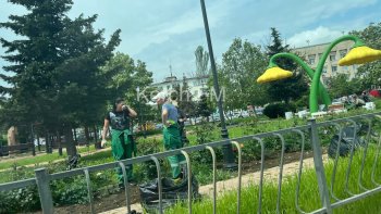 Новости » Общество: Газоны и клумбы напротив Кирова, 5 приводят в порядок
