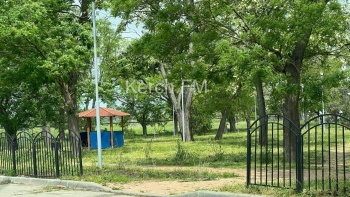 Новости » Общество: В парке им. Гагарина в Керчи скосили траву