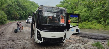 Новости » Общество: В Крыму дерево упало на рейсовый автобус из-за размытия грунта