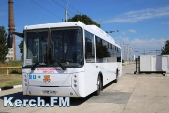 Новости » Общество: «Крымтроллейбус»: крымчане стали больше ездить общественным транспортом