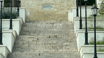 Новости » Общество: Погрязли в траве и грязи: до Константиновской лестницы в Керчи никому нет дела