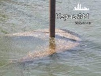 Новости » Общество: На выходных в Крыму ожидают ливни и подъем уровня рек