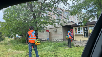 Новости » Общество: В Керчи продолжают бороться с травой