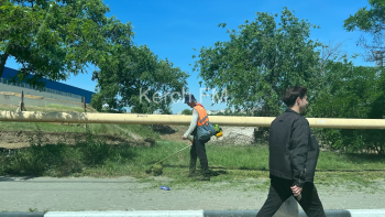 Новости » Общество: В городе идет уборка травы у центральных дорог