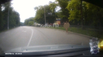 Новости » Общество: По дорогам Керчи разгуливает голая женщина