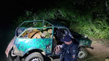 Убийц самца благородного оленя в Крыму нашли