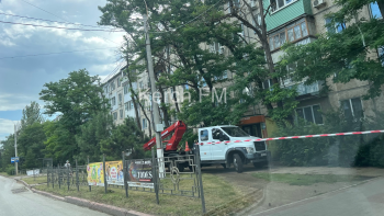 Новости » Общество: Пилят деревья: тротуар на Свердлова частично перекрыли