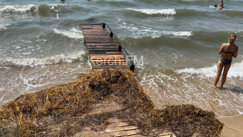 Новости » Общество: На Молодежном пляже прибрежную зону покрыло водорослями