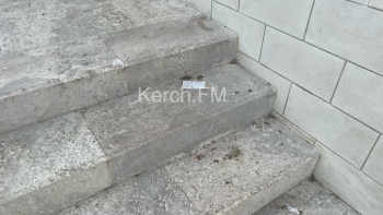 Новости » Общество: В Керчи Митридатская лестница зарастает травой и мусором