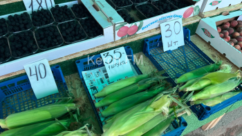 Новости » Общество: Обзор цен на овощи и фрукты на 23 июля в Керчи