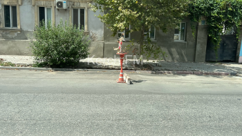 Новости » Общество: Икебана украшает одну из центральных дорог Керчи