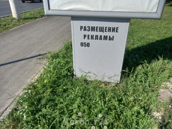 Новости » Общество: Был английский газон, стал крымский бурьян: благоустроители завезли новую землю