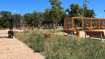 Новости » Общество: Зачем благоустраивать парки в Керчи, если за ними никто не ухаживает