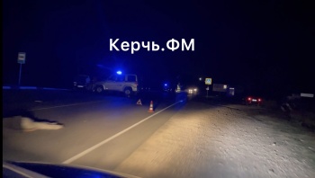 Новости » Криминал и ЧП: На Чкалова в Керчи насмерть сбили человека