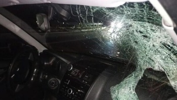 Новости » Криминал и ЧП: В Крыму женщина попала под колеса авто: личность погибшей устанавливается