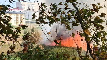 Новости » Криминал и ЧП: В Керчи сильно горел камыш на озере в районе Ворошилова