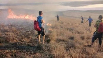 Новости » Общество: На Керченском полуострове выгорело около 30 гектаров травы