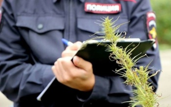 Новости » Криминал и ЧП: Полиция изъяла у крымчан около 5 килограммов наркотиков