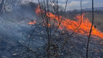 Новости » Криминал и ЧП: В Крыму почти 20 часов тушили возгорание сухой растительности