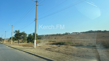 Новости » Общество: На Куль-Обинском шоссе в Керчи вдоль дороги косят траву
