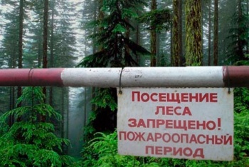 Новости » Общество: В Крыму продлили запрет на посещение лесов