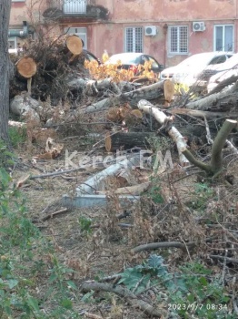 Новости » Общество: На Кирова во дворах устроили свалку спиленных сухих деревьев