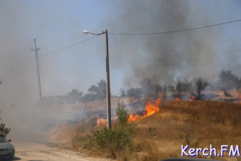 В Крыму увеличилось число возгораний сухих растений
