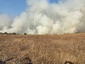 Новости » Общество: МЧС Крыма за два дня 20 раз выезжали на природные пожары