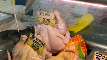 Новости » Общество: Рекомендованных цен не видно: курица на рынке Керчи дороже, чем в магазинах