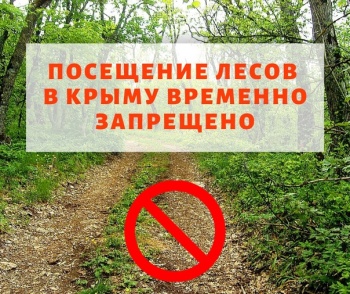 Новости » Общество: Запрет на посещение лесов Крыма и въезд в них продлен на 21 день