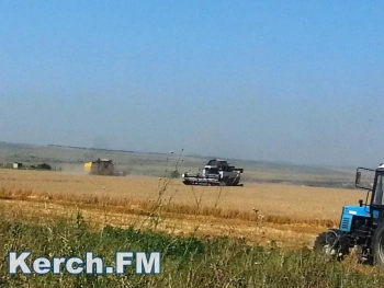 Новости » Общество: В Крыму намолотили более 2 миллионов тонн зерновых