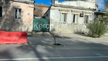 Новости » Общество: Очередная икебана украшает одну из центральных дорог Керчи