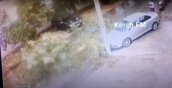 Новости » Криминал и ЧП: На камеры видеонаблюдения попало вчерашнее падение дерева в Керчи