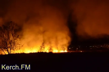 Новости » Общество: За неделю в Крыму произошло более 100 пожаров