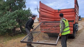 Новости » Общество: В курортных городах Крыма демонтируют заборы и шлагбаумы