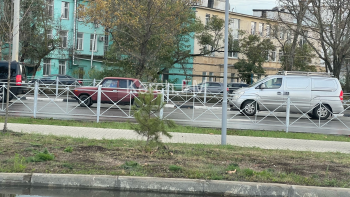 Новости » Общество: В Керчи около стадиона высадили новые деревья