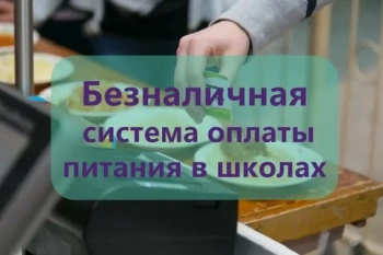 Новости » Общество: Все школы Крыма в этом году подключат к проекту по оплате питания и пропуску по спецкартам